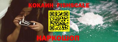крисы Малгобек