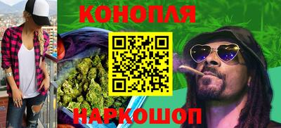 крисы Малгобек