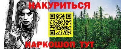 крисы Малгобек